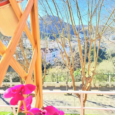 بيت ضيافة Happy سينترا