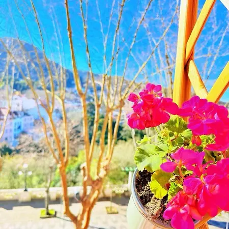 Happy بيت ضيافة سينترا