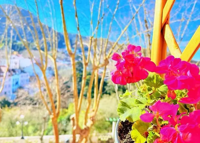 Happy Pensjonat Sintra